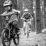 Gelissen Tweewielers