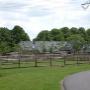 kinderboerderij GGzE