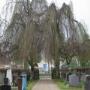 Grafonderhoud Friesland