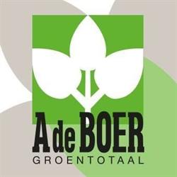 Groentotaal A de Boer