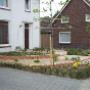 Hoveniers Gunhoek Venray