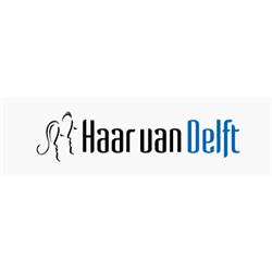 Haar van Delft