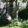 Waterurn