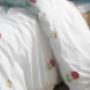HCV Wonen & Dromen in Gieten