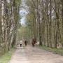 Recreatiepark Heidekamp