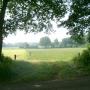 Doorkijkje in oude boswal