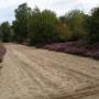De  kleurige heide in augustus