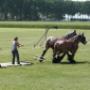 Hellingman & Zn Touringcarbedrijf