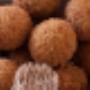Appeltje Partycentrum 't
