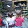 Het Bonte Huis Kindercentrum