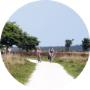 Drentse Wold Bungalowpark Het