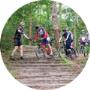 Drentse Wold Bungalowpark Het