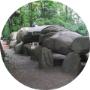 Drentse Wold Bungalowpark Het