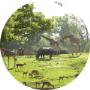 Drentse Wold Bungalowpark Het