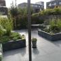 Aanleg tuin Groningen