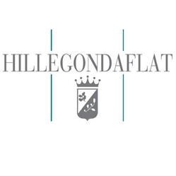 Hillegondaflat