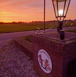 Dierenplezier Hondenuitlaatservice en Dagopvang