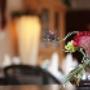 Den Burg Hotel-Brasserie