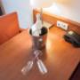 Superior room desk Spaander