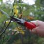 Blok Hoveniers tuinonderhoud