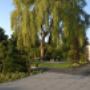 Blok Hoveniers moderne tuin