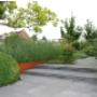 Blok Hoveniers voortuin modern