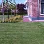 Weel Hoveniersbedrijf G