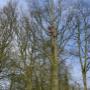 Weel Hoveniersbedrijf G