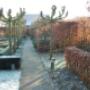 Winterbeurt tuin