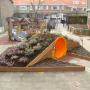Hoveniersbedrijf P J Biever