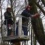 Hoveniersbedrijf Rozema