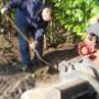 Hoveniersbedrijf Rozema