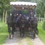 Laar Huifkarverhuur Van