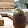Indoor Plant Services bv