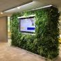 Indoor Plant Services bv