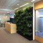 Indoor Plant Services bv