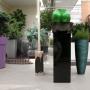 Indoor Plant Services bv