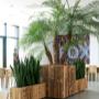 Indoor Plant Services bv