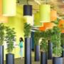 Indoor Plant Services bv
