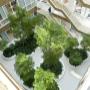 Indoor Plant Services bv