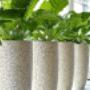 Indoor Plant Services bv