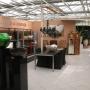 Indoor Plant Services bv