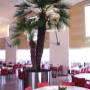 Indoor Plant Services bv