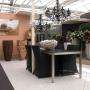 Indoor Plant Services bv