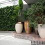 Indoor Plant Services bv