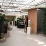 Indoor Plant Services bv