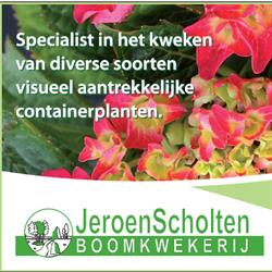 Scholten Boomkwekerij Bv Jeroen