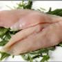 Jomo Food Service Deurne