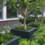 Voortuin idee