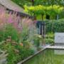 Weelderige border